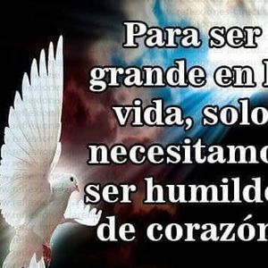 Meet your Posher, Jose raul